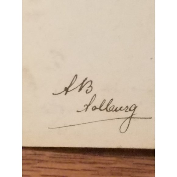 RPPC Pretty Young Dutch Wavy Hair Lady Off Shoulder Dress 1910 Postmark 1c Stamp - Picture 6 of 8